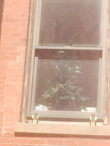 Neighbor's Artificial Inner Life