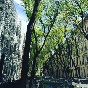 33924366_10216417253489720_8953813958007980032_n