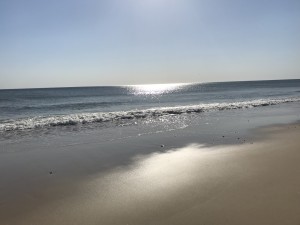 On the morning constitutional, post Full Moon, very low tide and the calmest ever maybe on the ocean side.